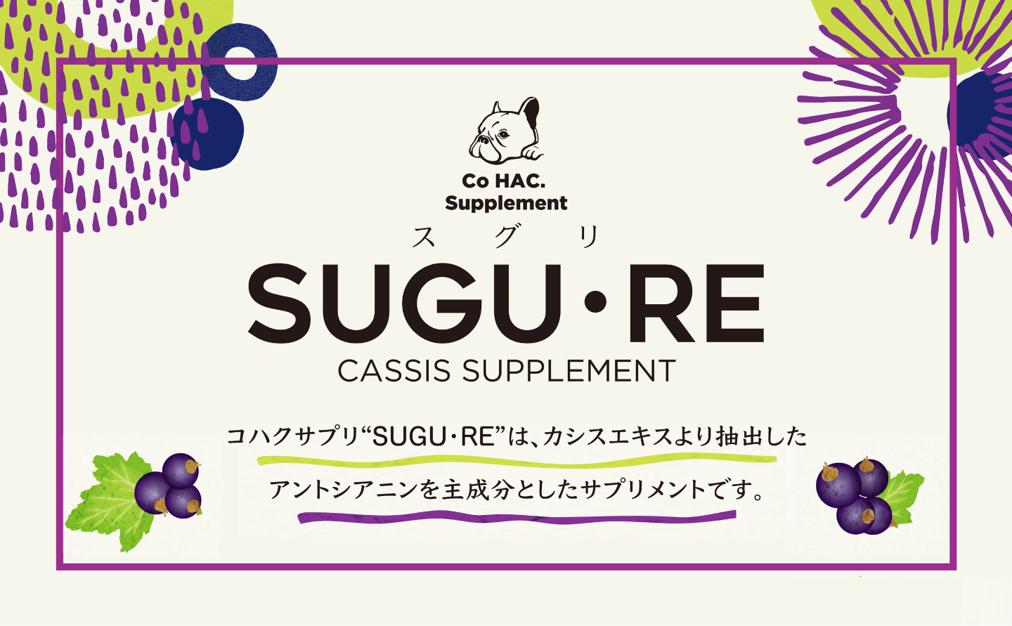Co HAC. Supplement SUGU・RE